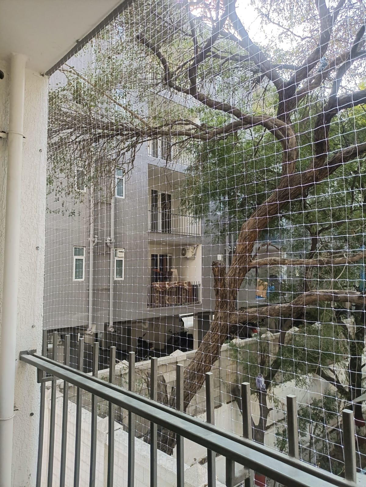 Untitled design (76)